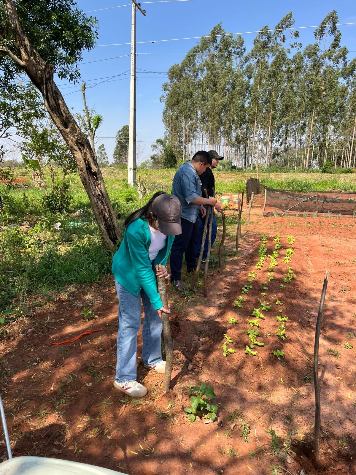Actividad de extensión universitaria de la FCE UNA